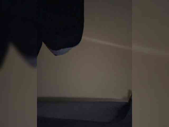 LioVex webcam
