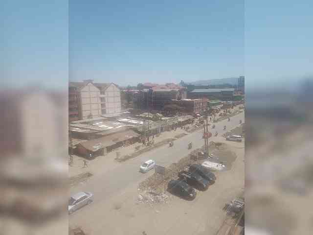 LioVex webcam