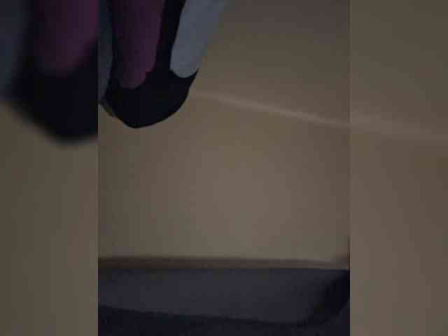 LioVex webcam