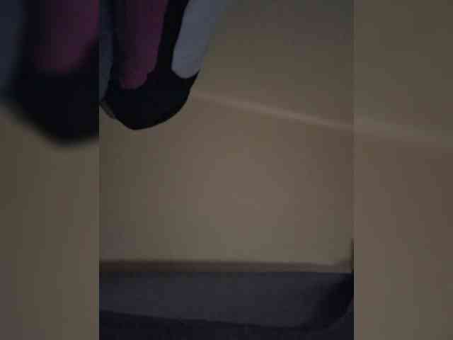 LioVex webcam
