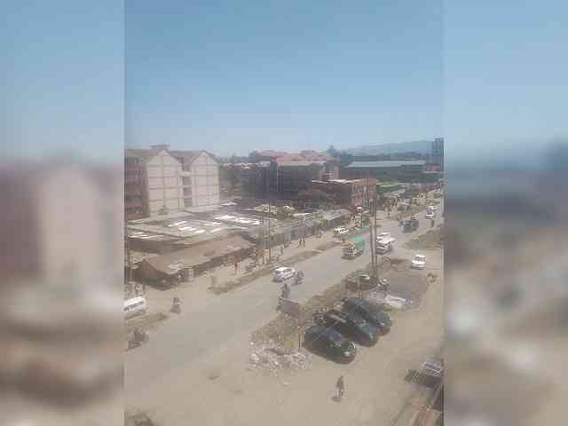 LioVex