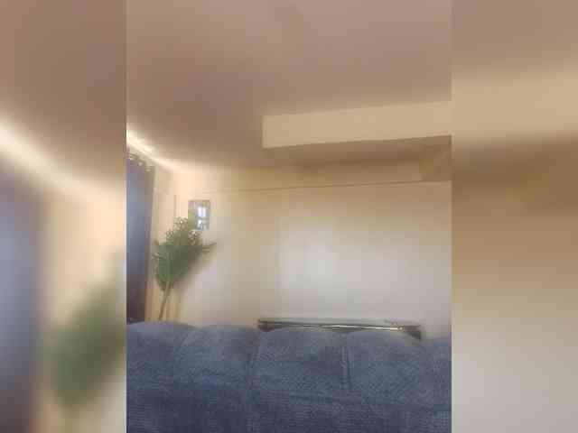 LioVex webcam
