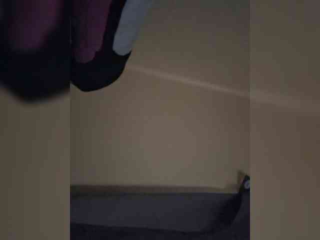 LioVex webcam