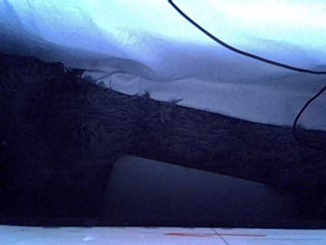 Sweetsheila1234 live cam on BongaCams
