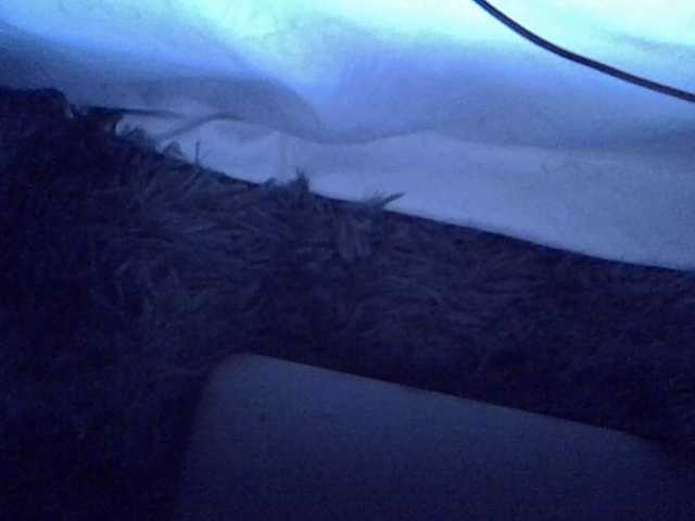 Sweetsheila1234 live cam on BongaCams