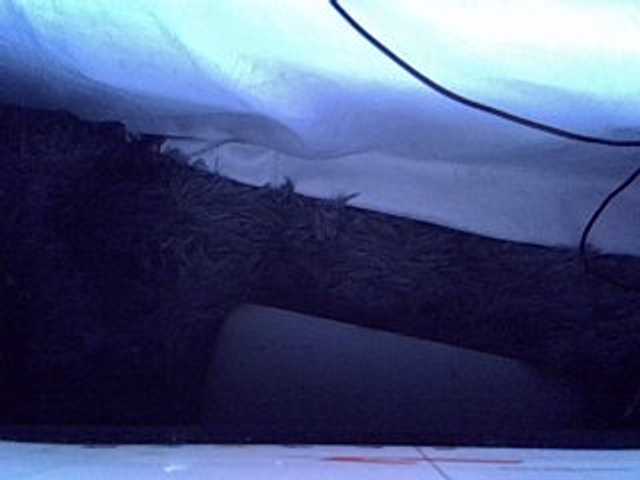 Sweetsheila1234 live cam on BongaCams