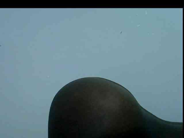 Sweetsheila1234 webcam