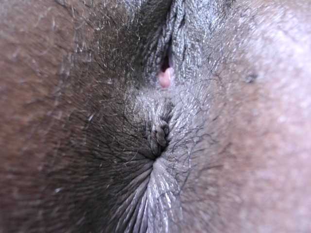 Sexyshanty live cam on BongaCams