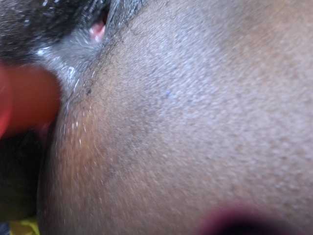 Sexyshanty live cam on BongaCams