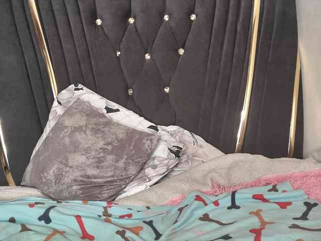 Sexyshanty webcam