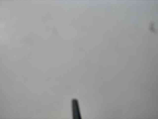 Sexyshanty webcam