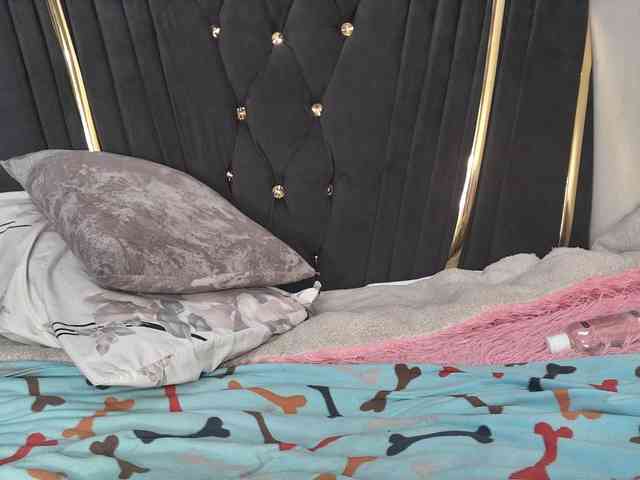 Sexyshanty webcam