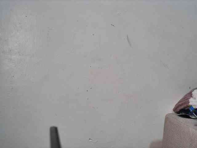 Sexyshanty webcam
