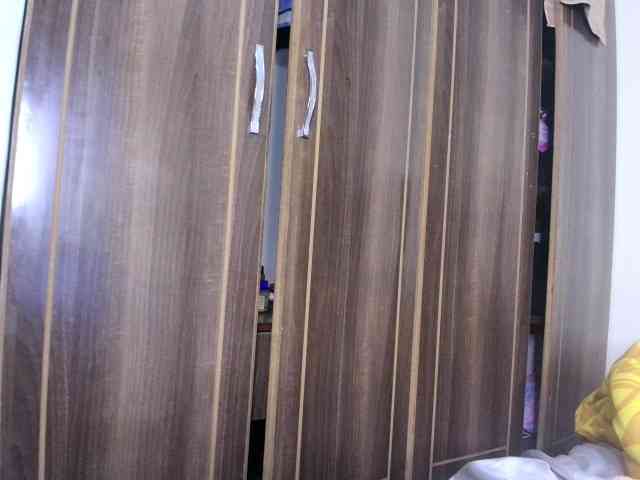 Sexyshanty webcam