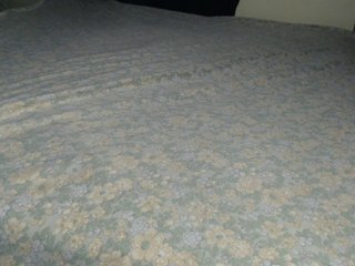 Leylawalker Porn Show