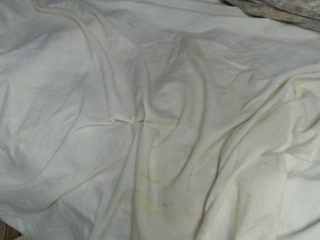 Leylawalker live cam on BongaCams