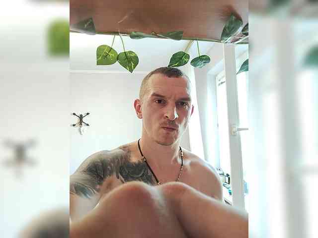 StanWolf888