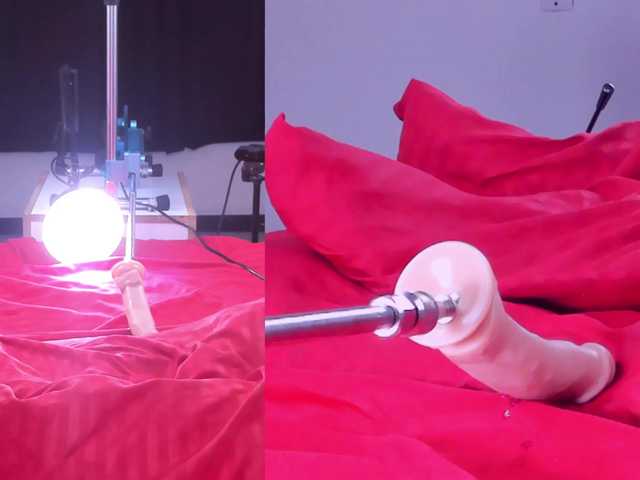 Venus-Andromeda live cam on BongaCams