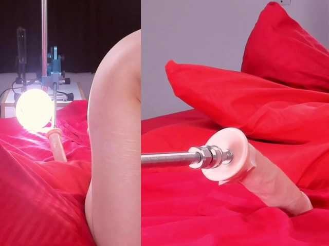 Venus-Andromeda live cam on BongaCams