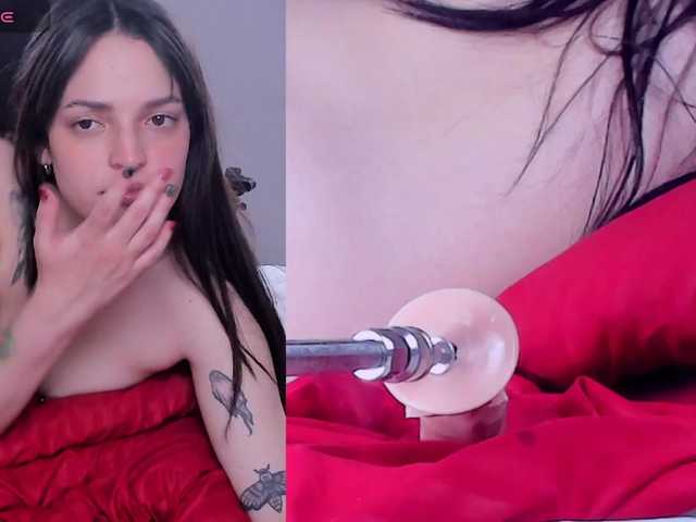 Venus-Andromeda live cam on BongaCams