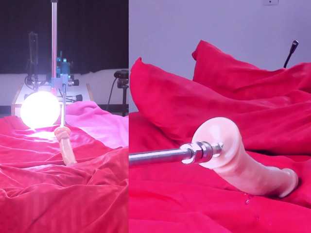 Venus-Andromeda live cam on BongaCams