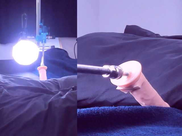 Venus-Andromeda live cam on BongaCams