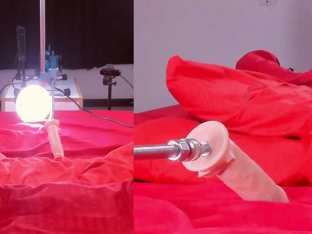 Venus-Andromeda live cam on BongaCams