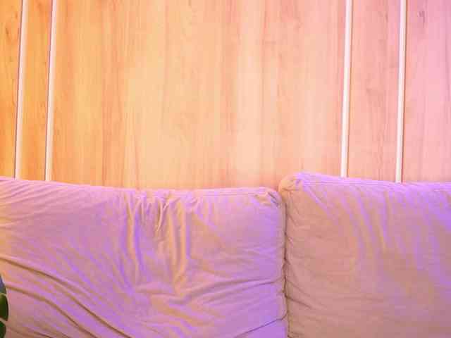 LunaBlis webcam
