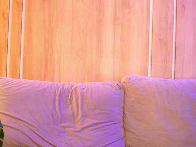 LunaBlis webcam