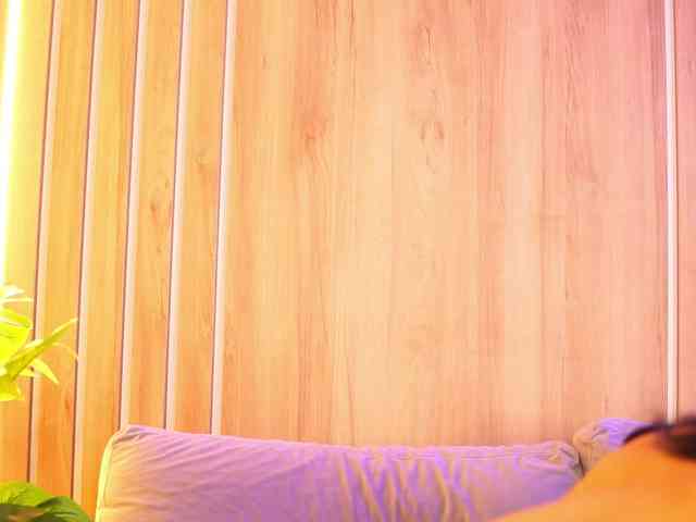 LunaBlis webcam