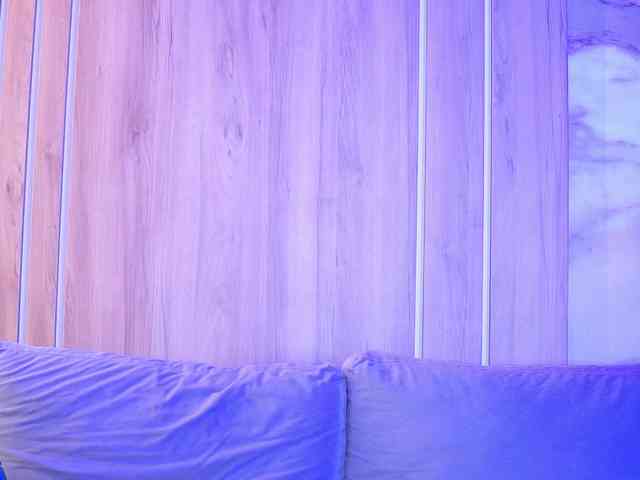 LunaBlis webcam