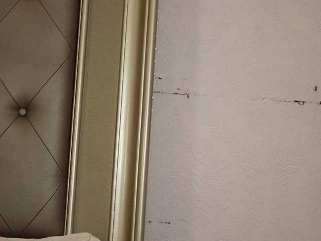 AlexxaOne live cam on BongaCams