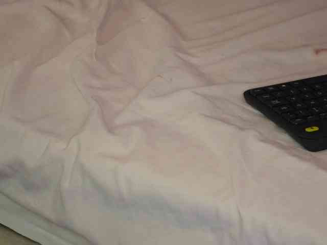 AlexxaOne webcam