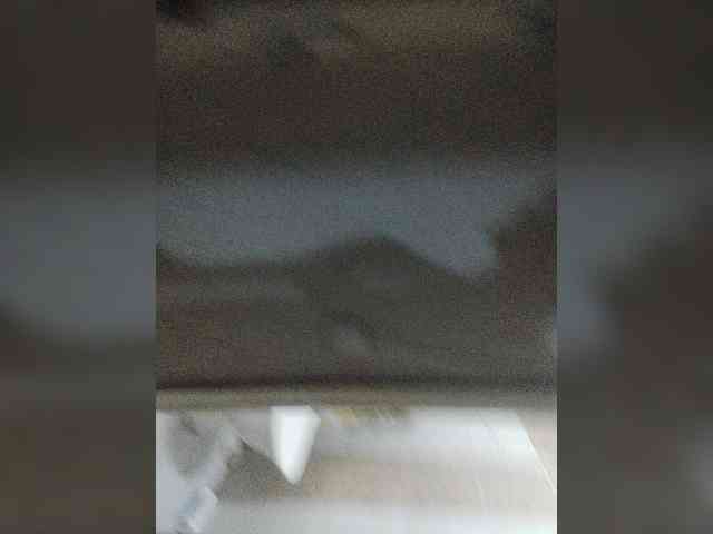 Levak07 webcam