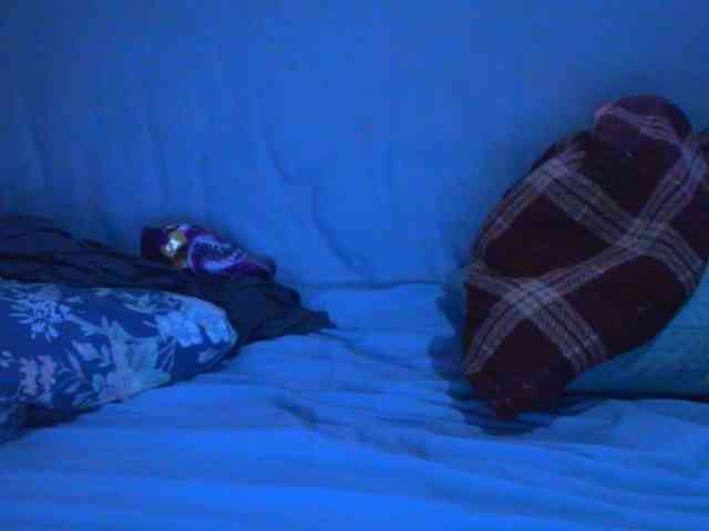 Ebonyslander webcam