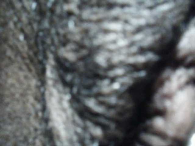 Hot-sexy-angel live cam on BongaCams