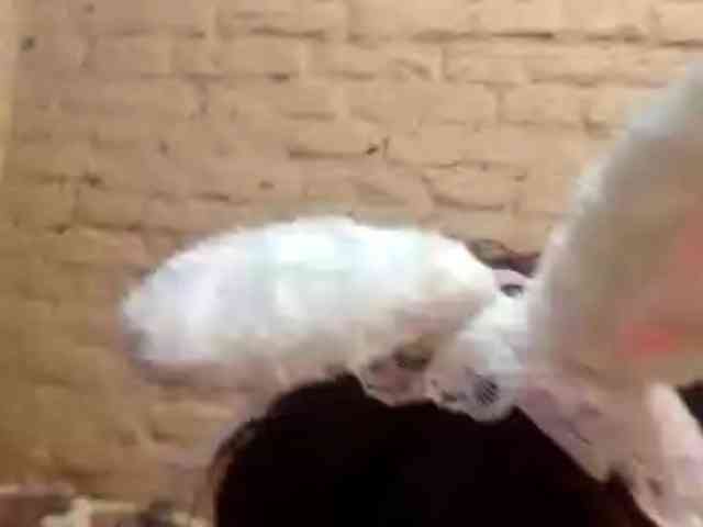 MilaRoshen webcam