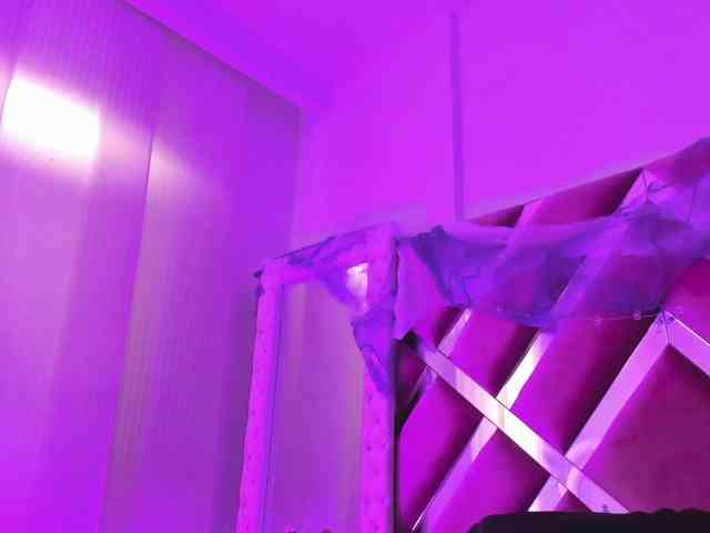 jasmineblush