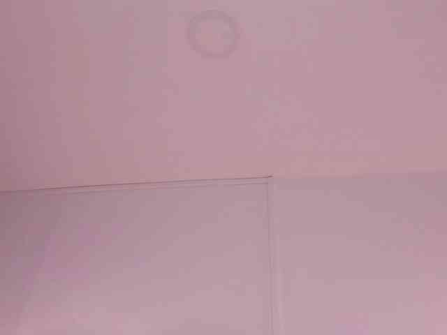 real web cam sex Zoe-Evaanss
