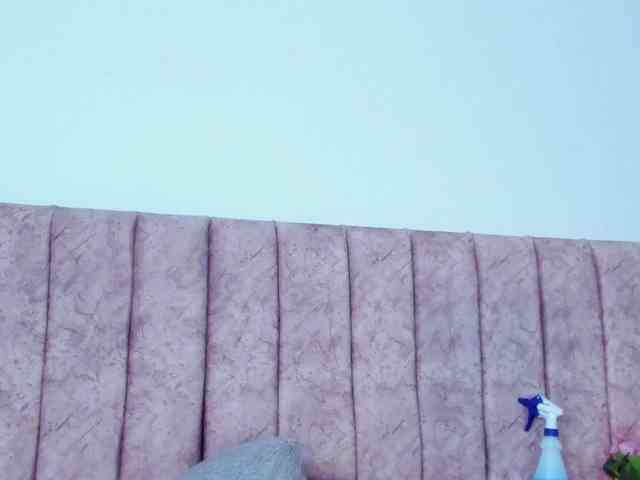 Zoe-Evaanss