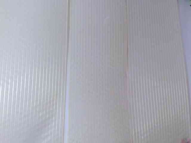 Miia-Rogerss webcam
