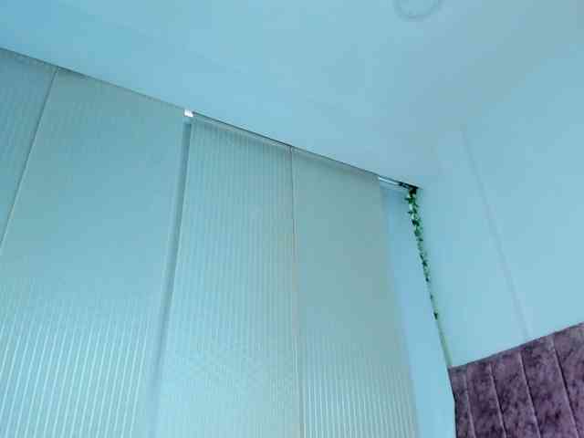 Miia-Rogerss webcam