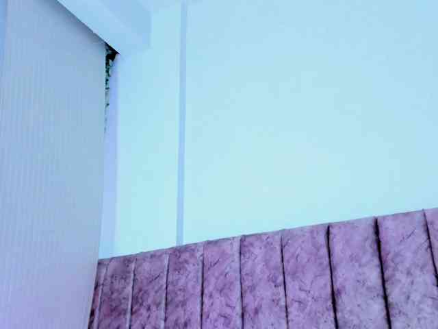Miia-Rogerss webcam