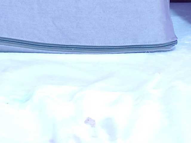 EvelynBlacke live cam on BongaCams