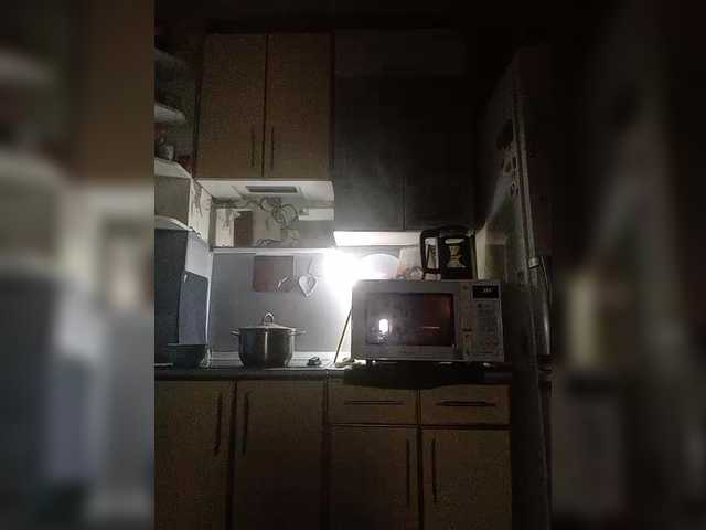 Meow-Wow live cam