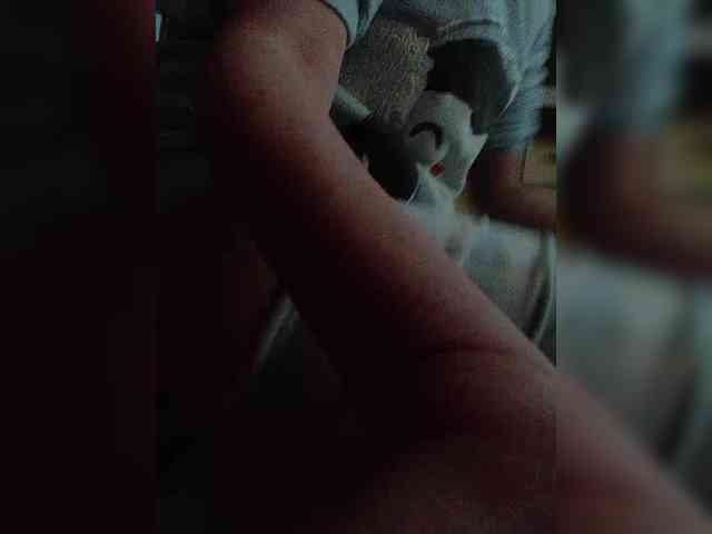 Meow-WoW webcam