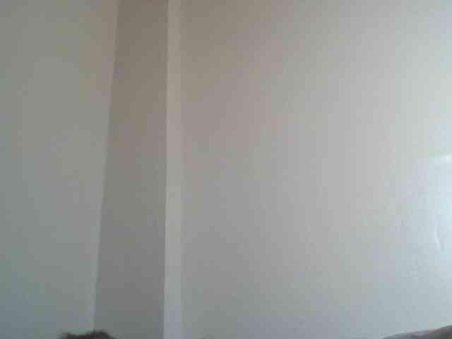 SexyBanni webcam