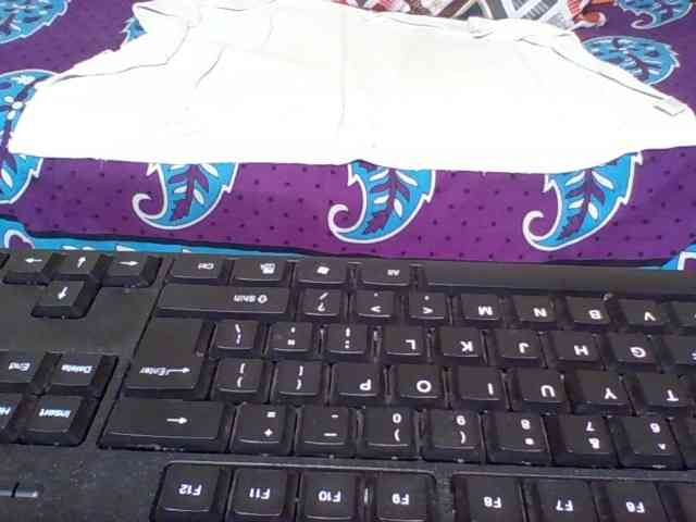 Freshslut webcam