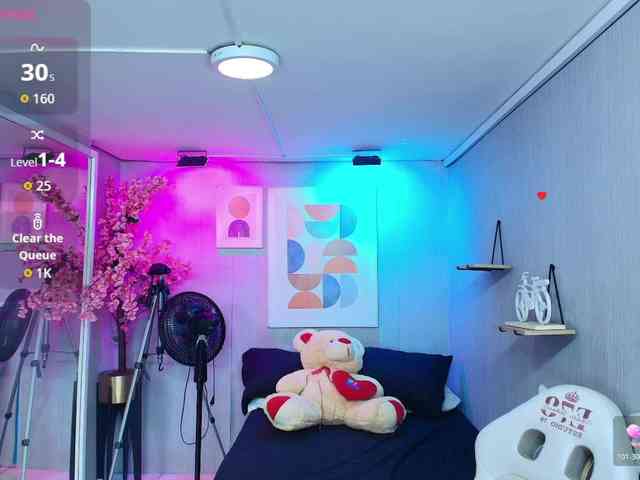 Maggy-T18 webcam