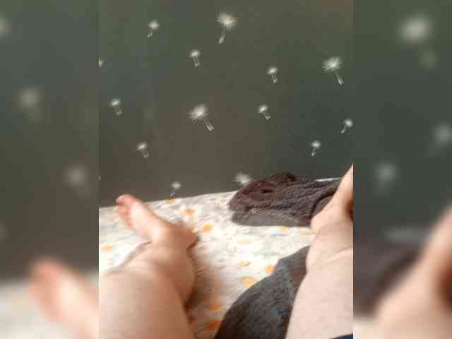 KAKOSIK-SEX Live Webcam on BongaCams